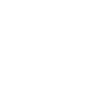 mic